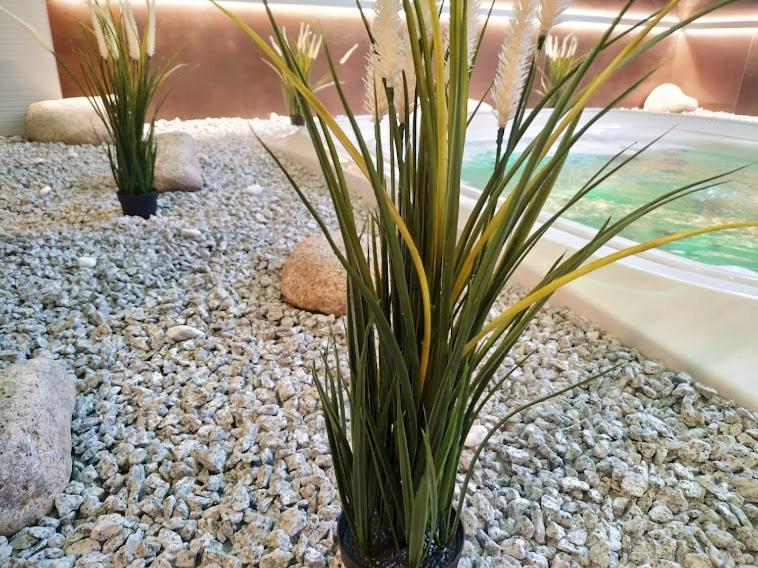 Hotel Anna Spa&wellness Nejdek
